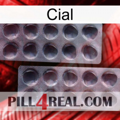 Cial 31